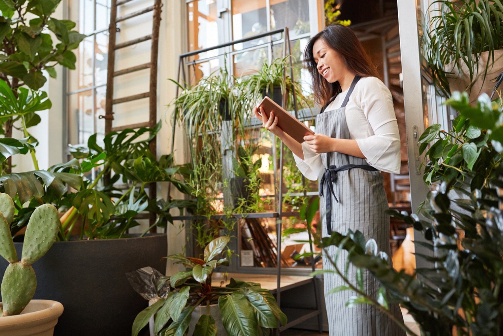 comment choisir son porte plante