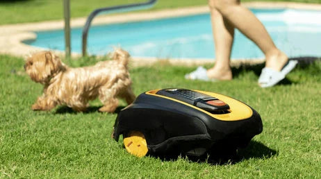 Quel robot tondeuse sans fil choisir pour un jardin impeccable ?