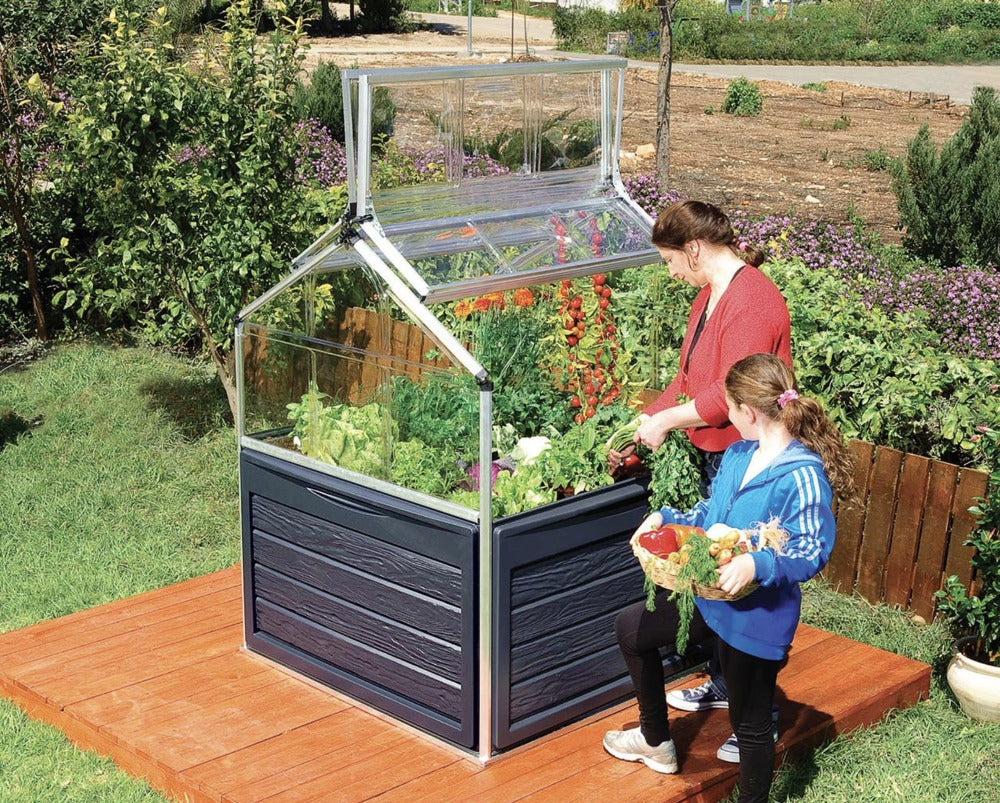 Mini Serre D'hivernage Pop-up - Transparente 70x70x80cm - Protection Plantes Extérieur/Intérieur Mini Serre D'hivernage Pop-up - Transparente 70x70x80cm - Protection Plantes Extérieur/Intérieur