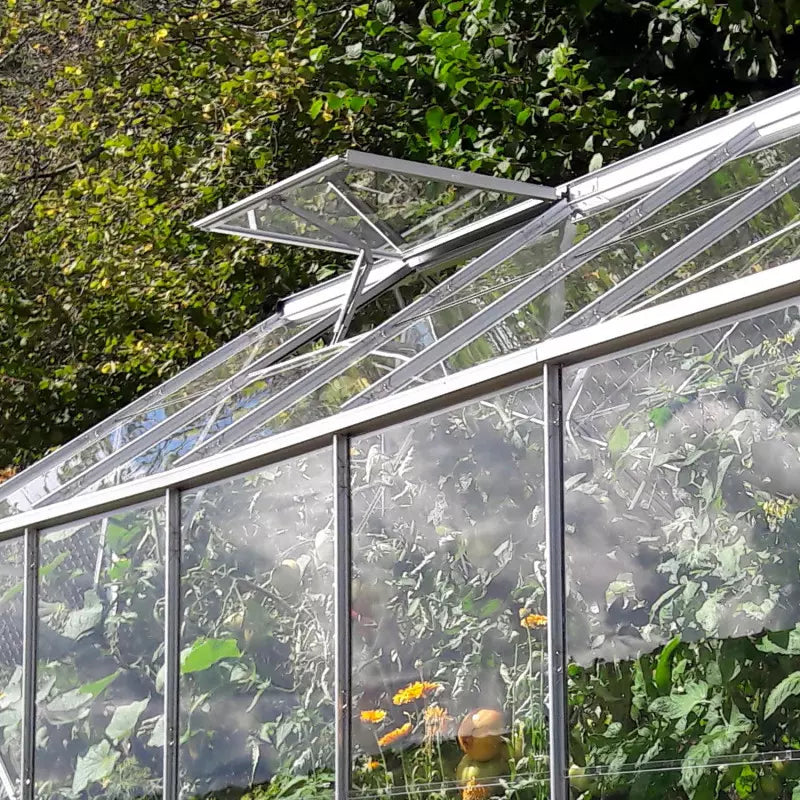 Lucarne de Toit Supplémentaire