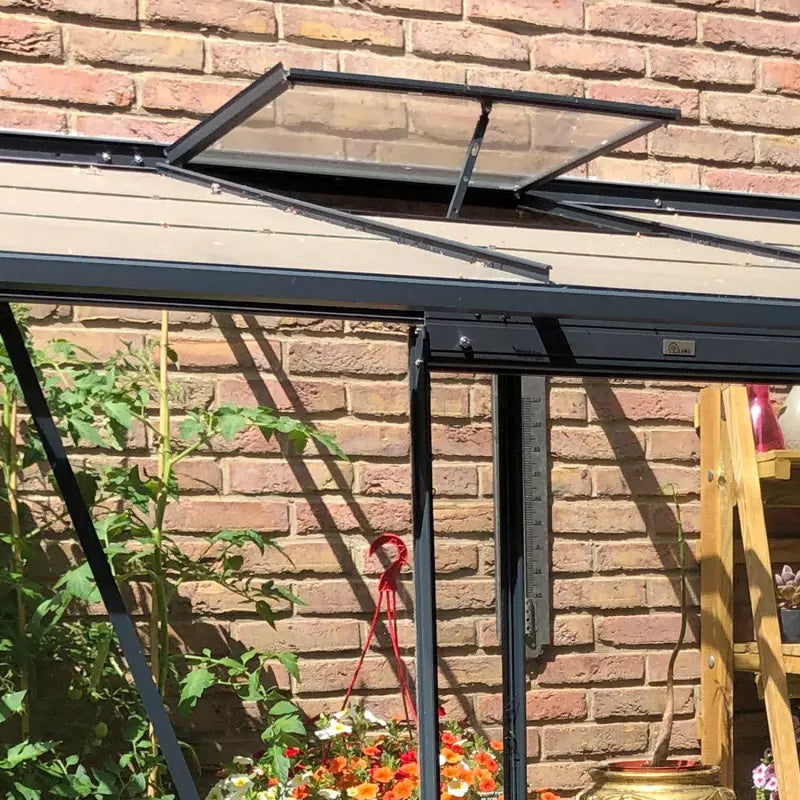 Lucarne de Toit Supplémentaire