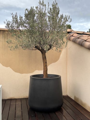 Photo de l'avis de Gregoire M.