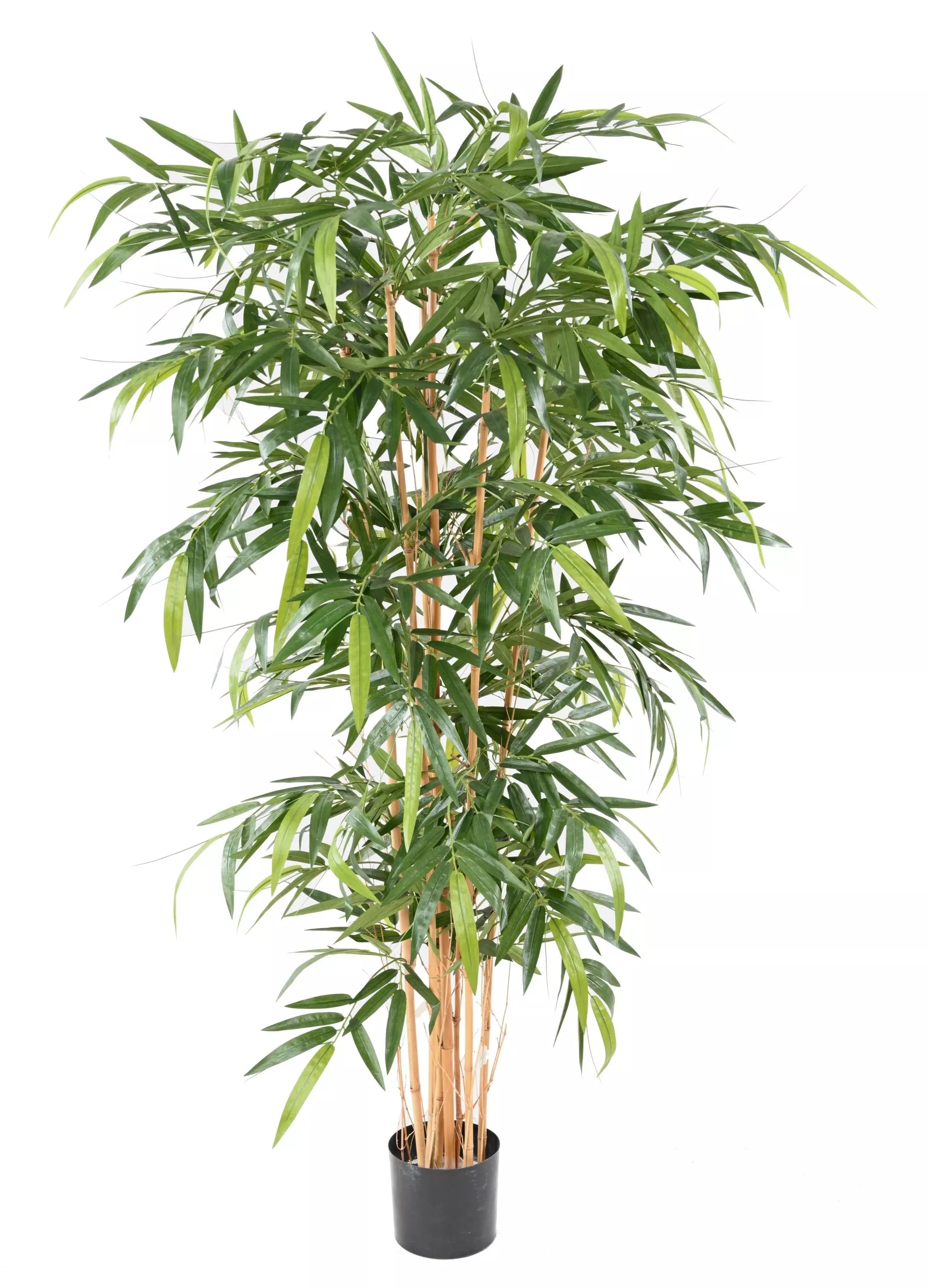 Bambou Artificiel - 180 cm