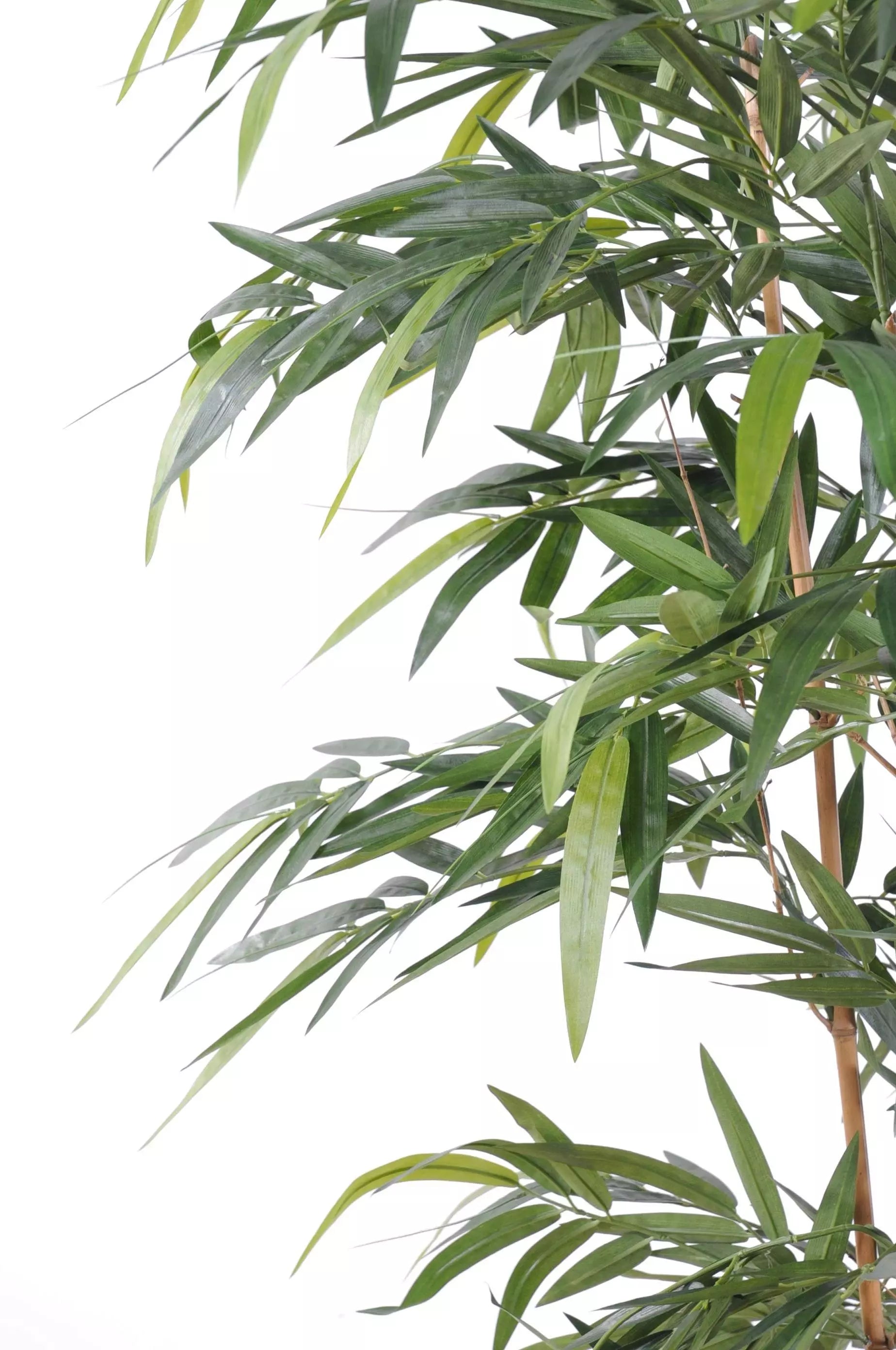 Bambou Artificiel - 180 cm