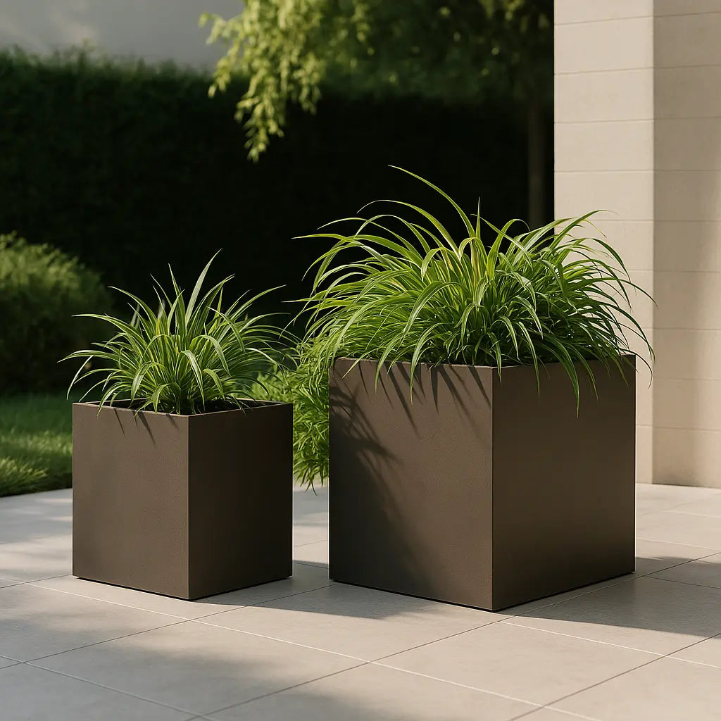 Pot - Narciso