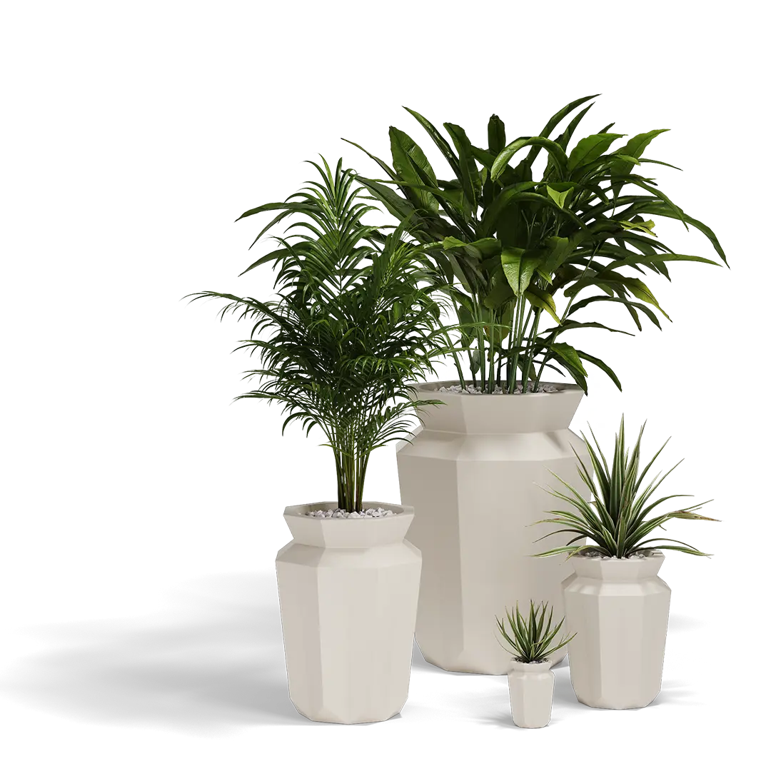 Pot - Hasu