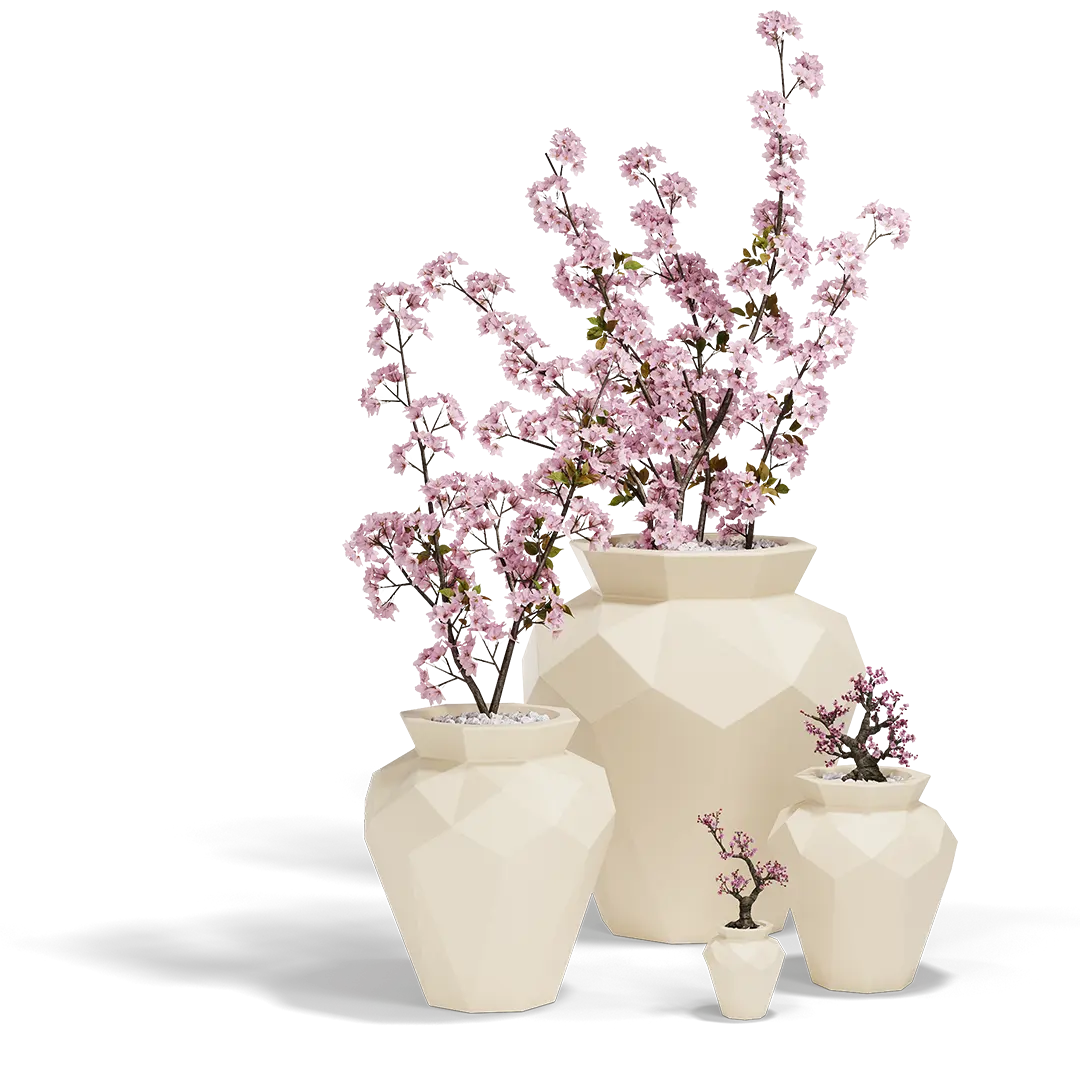 Pot - Hanami