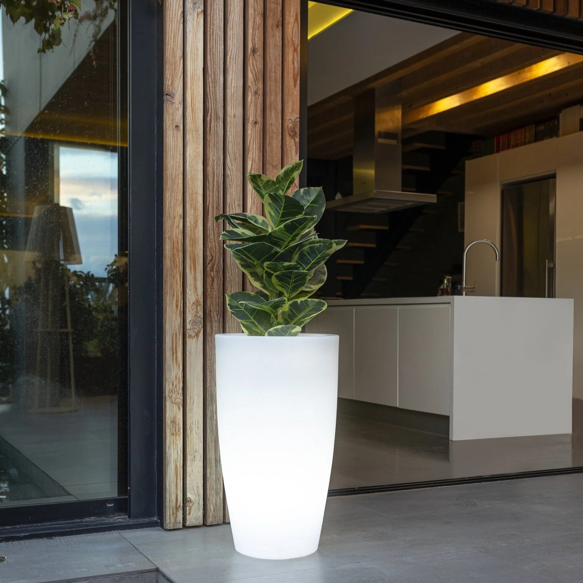 Pot - Bambou LED