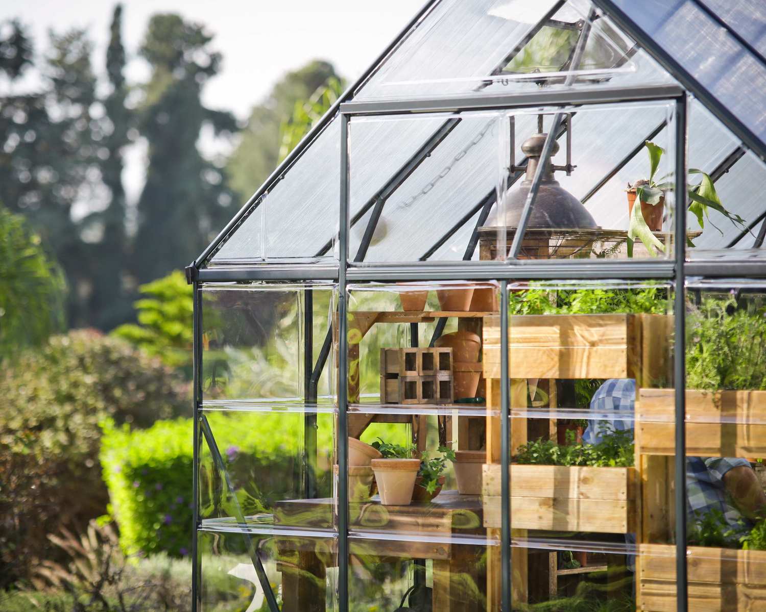 Orangerie - Victory 11,1m²