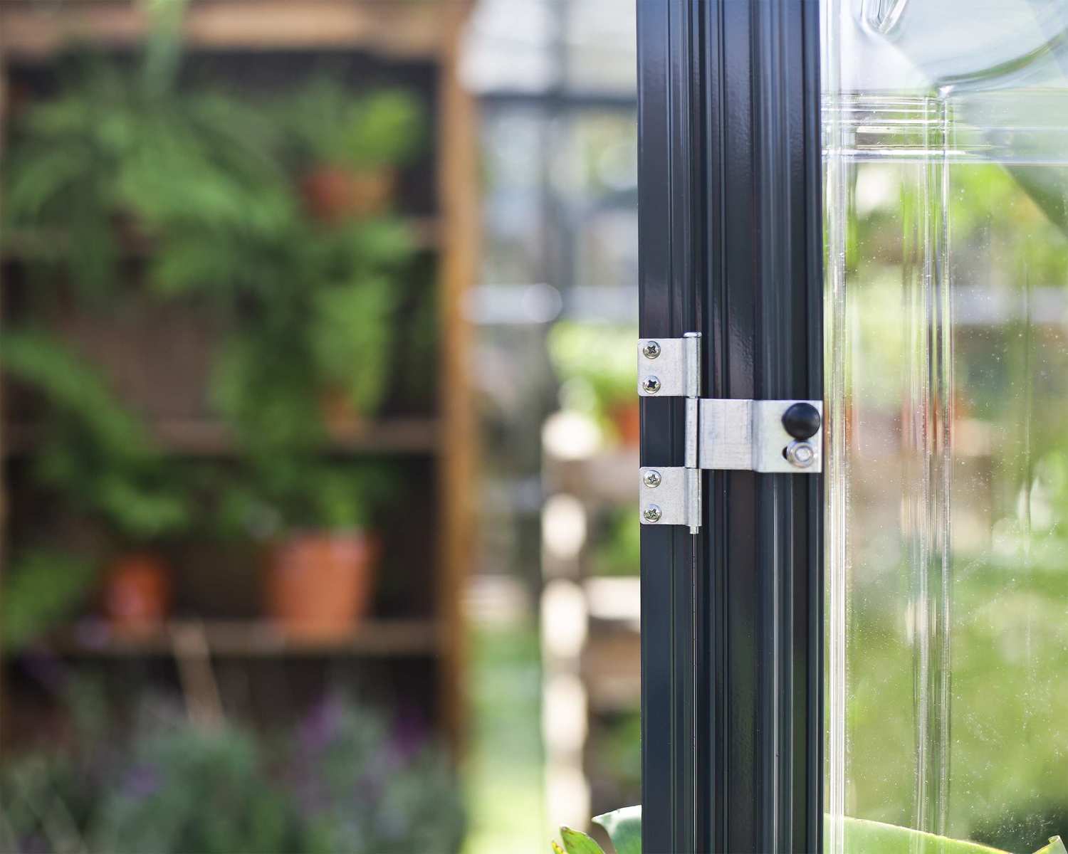 Orangerie - Victory 11,1m²