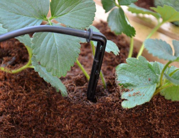 Kit Irrigation Serre