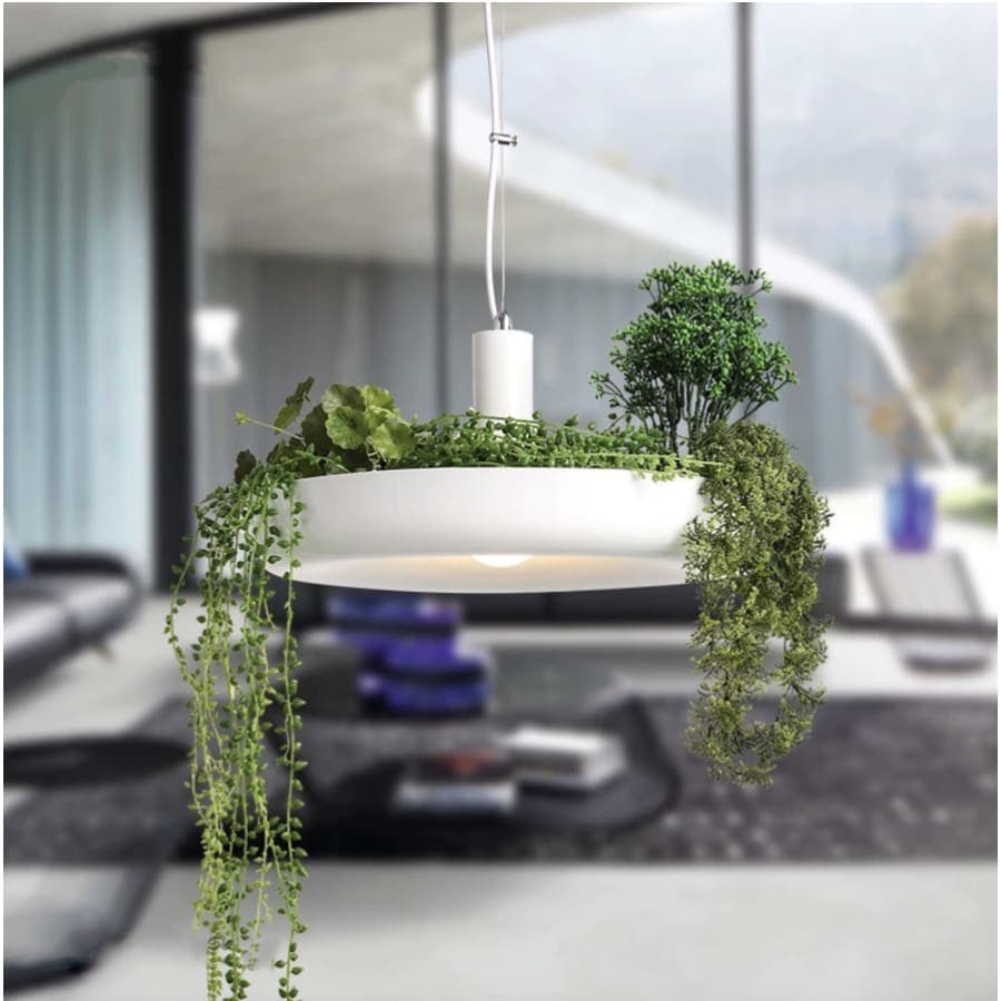 suspension végétale