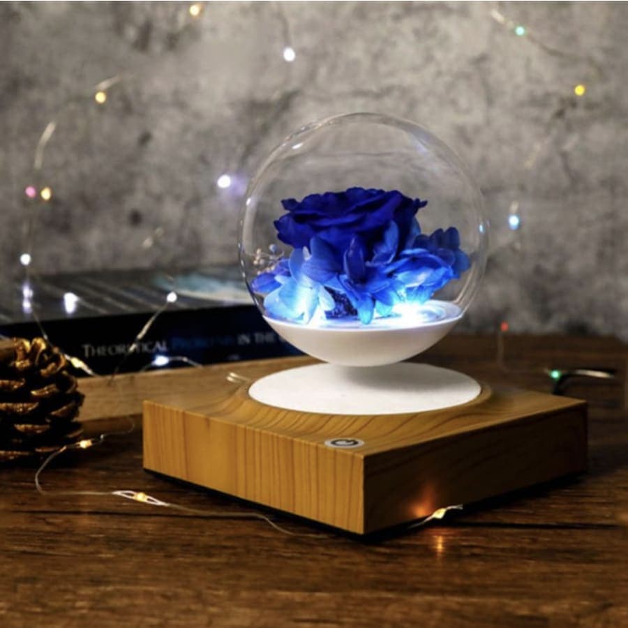 Pot <br> Boule de Verre