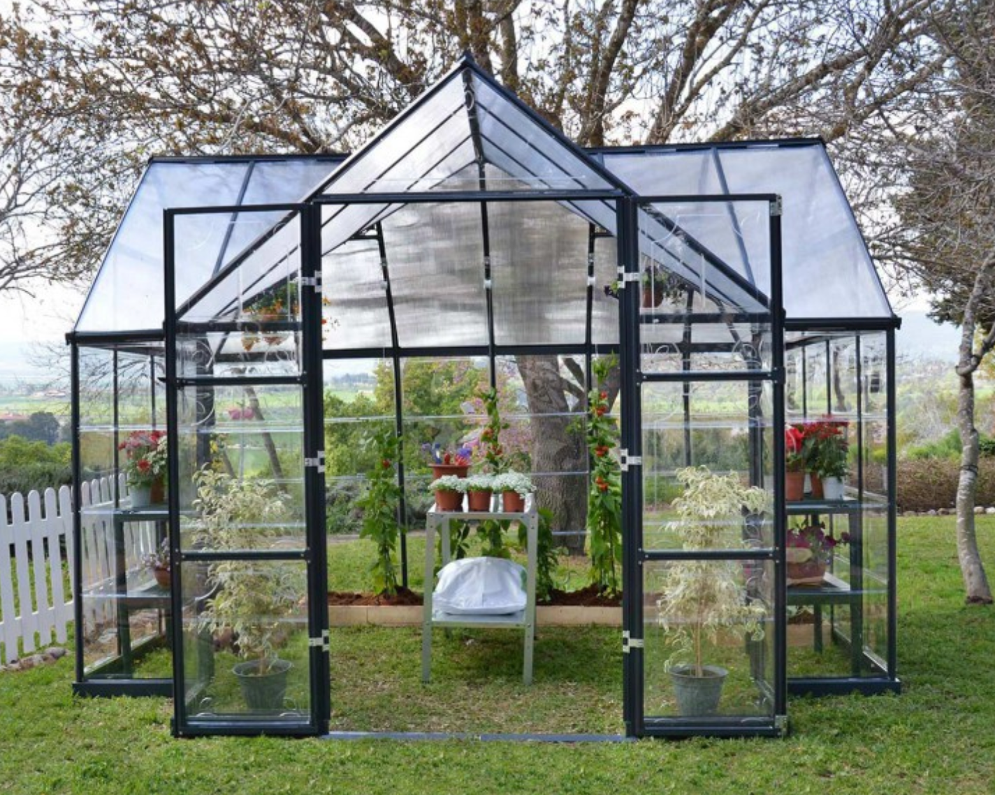 Orangerie - Victory 11,1m²