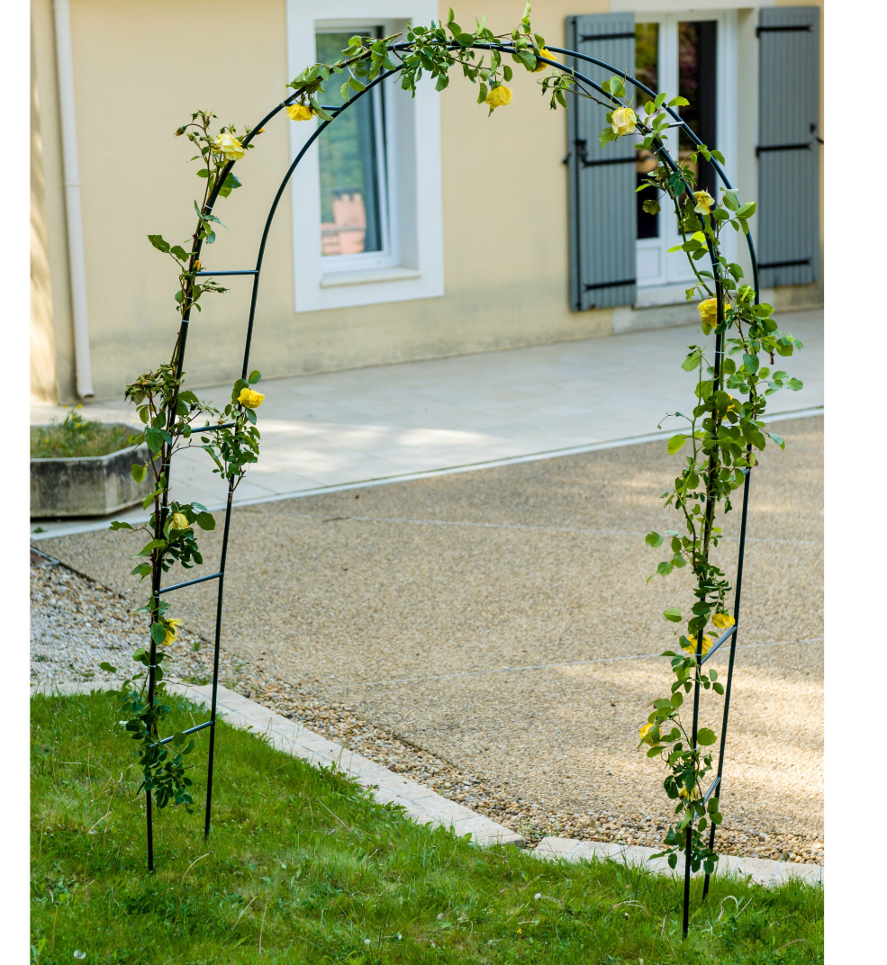 Arche Rosier Grimpant