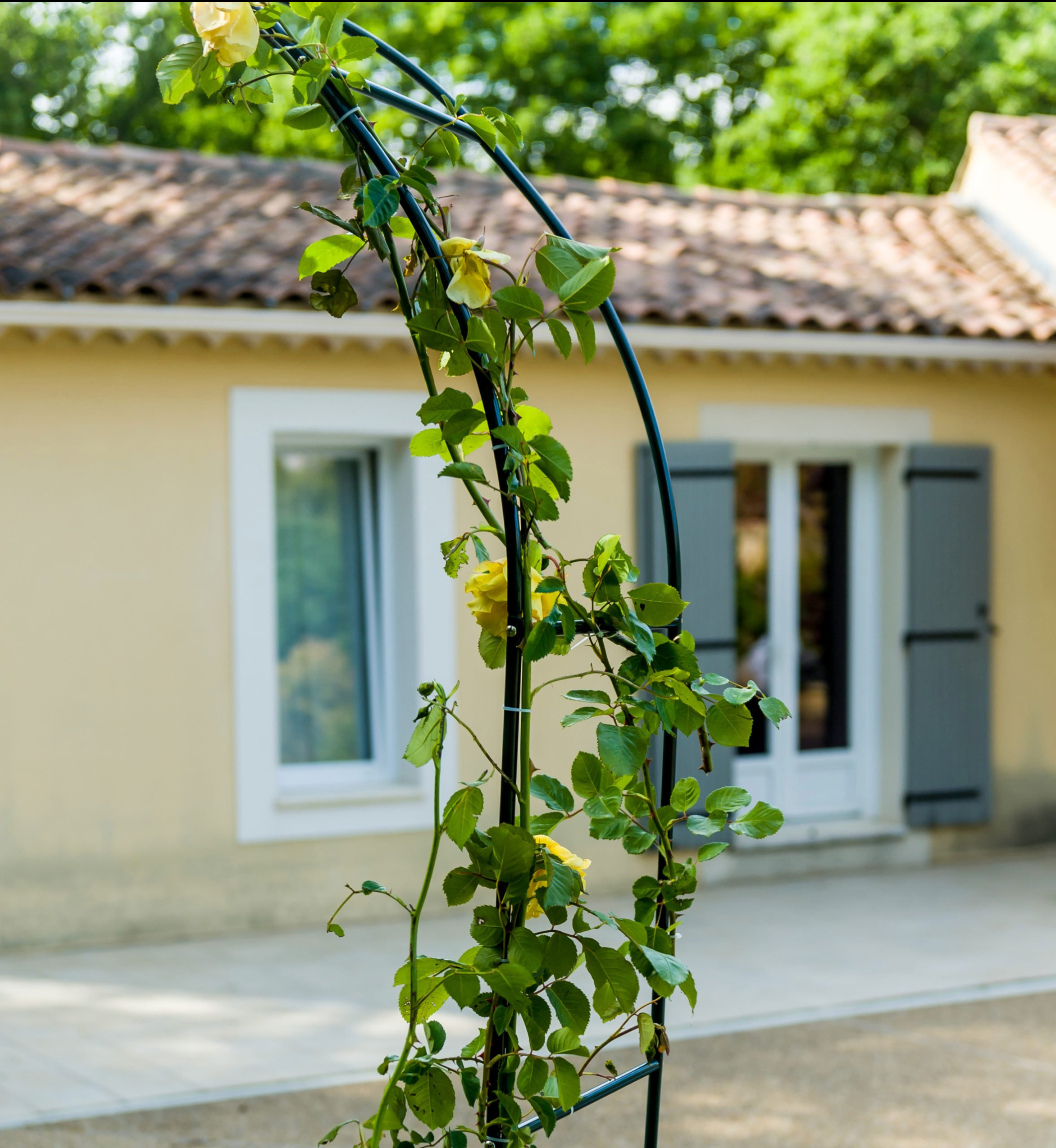 Arche de Jardin - Roser