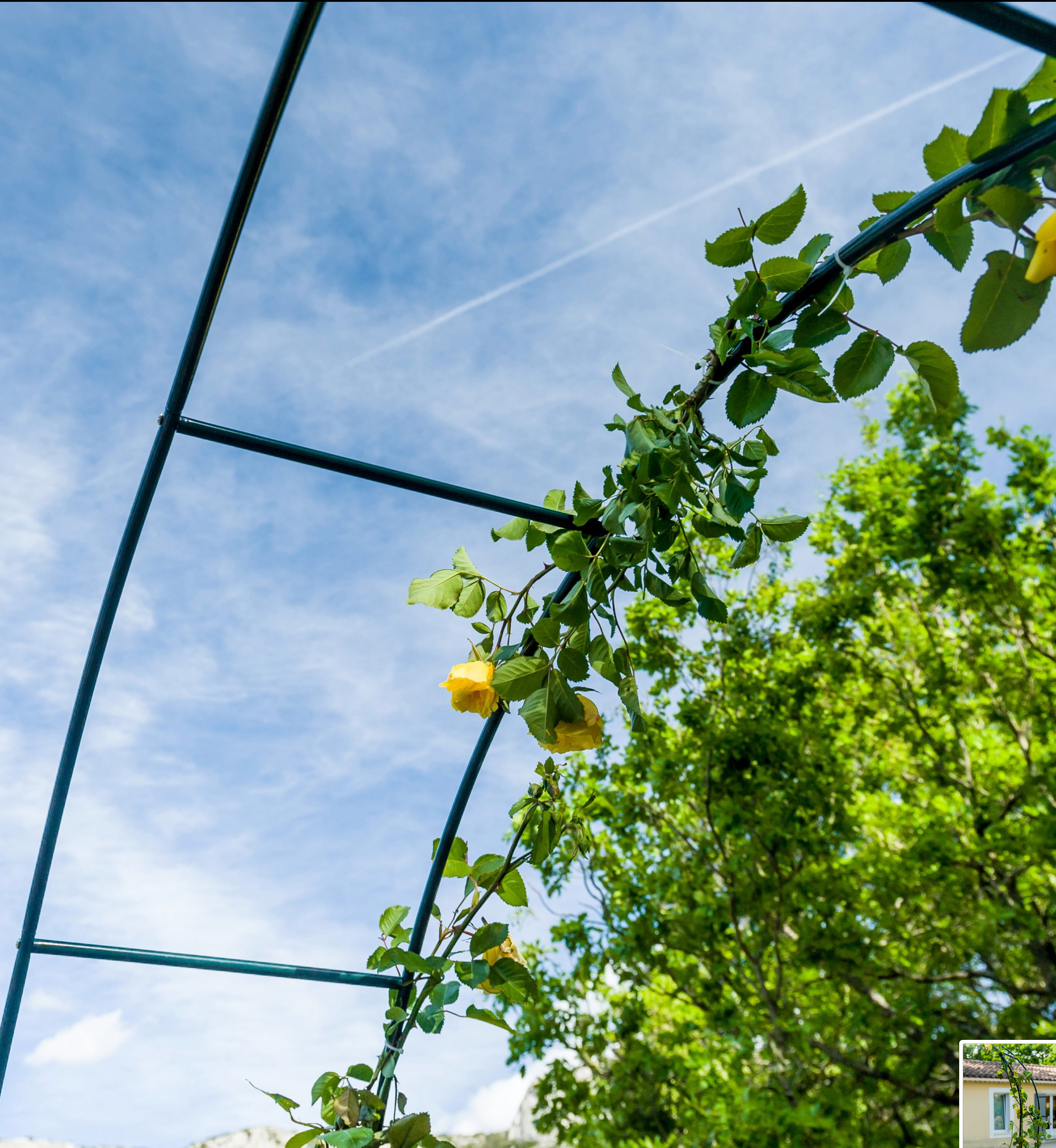 Arche de Jardin - Roser