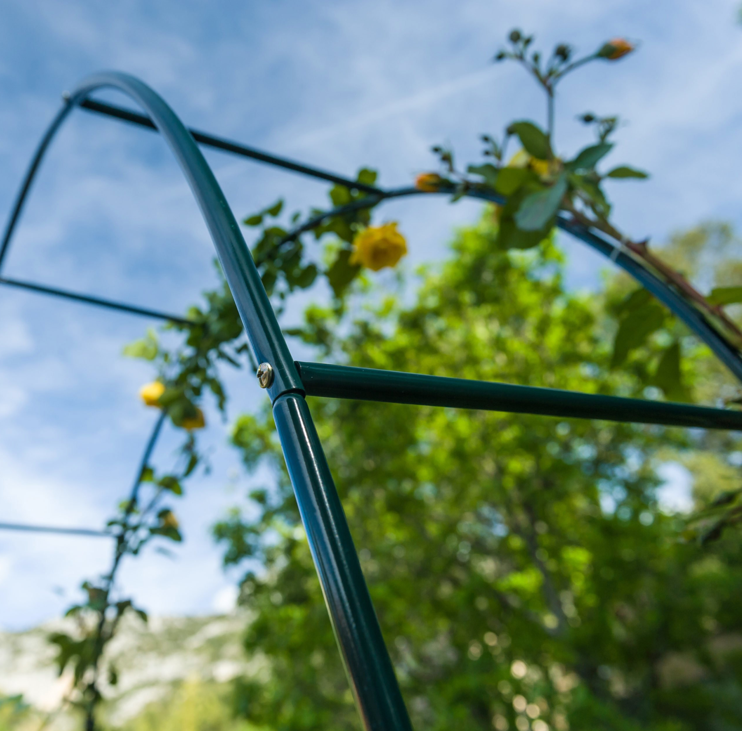 Arche de Jardin - Roser