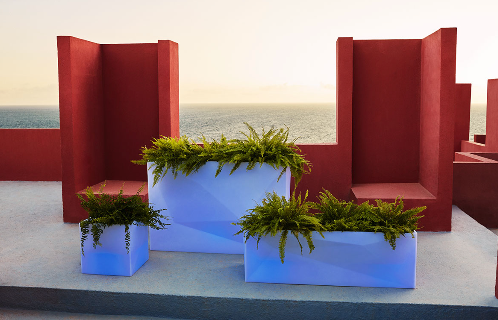 Jardinière - FAZ LED