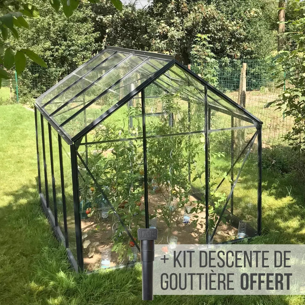 Serre_Verre_Horticole_originale
