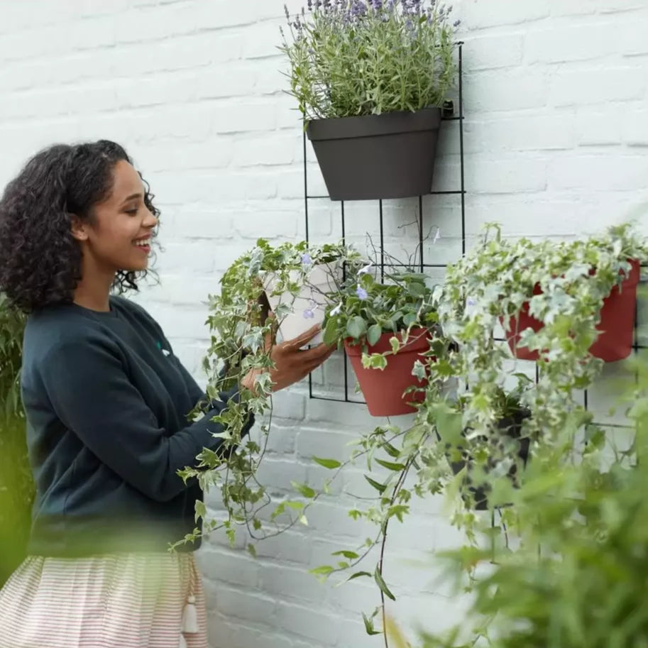 bac_fleurs_mural_plastique