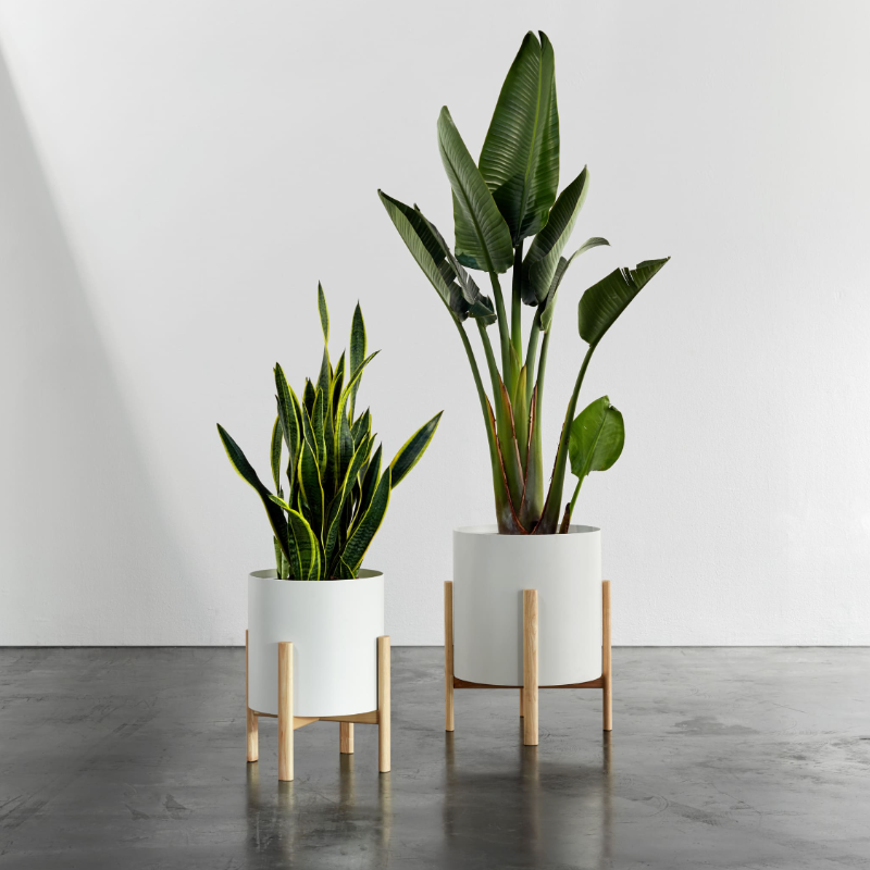 cahce-pot-sur-pied-bois