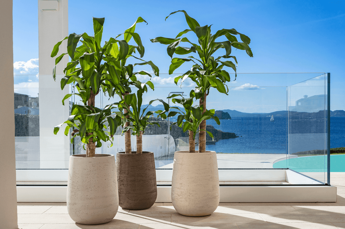 Pot De Fleur En Terre Cuite émaillée