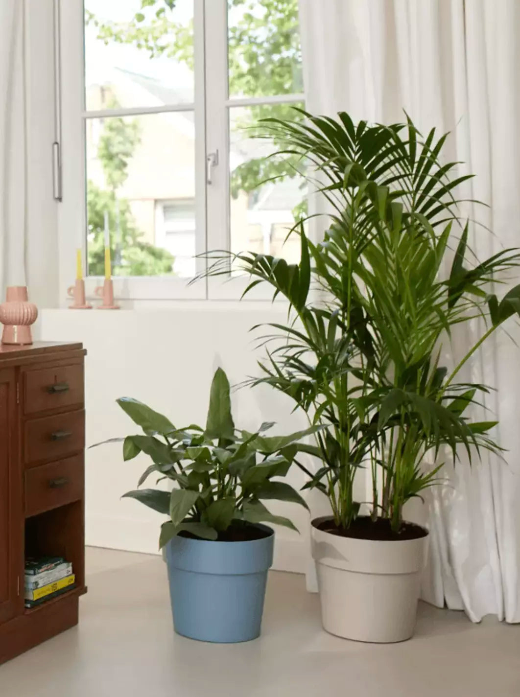 jardiniere-100_recyclable