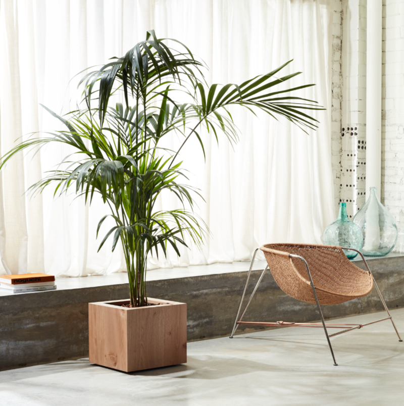 jardiuniere-bois-40x40