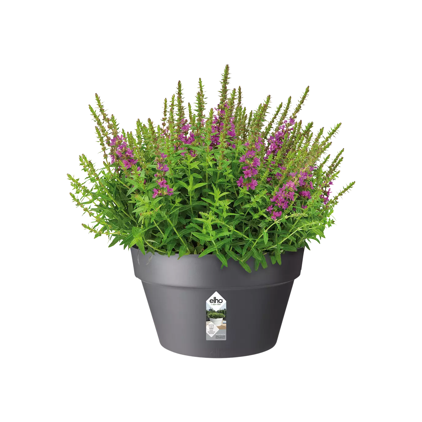 Pot - Loft Urban (x5)