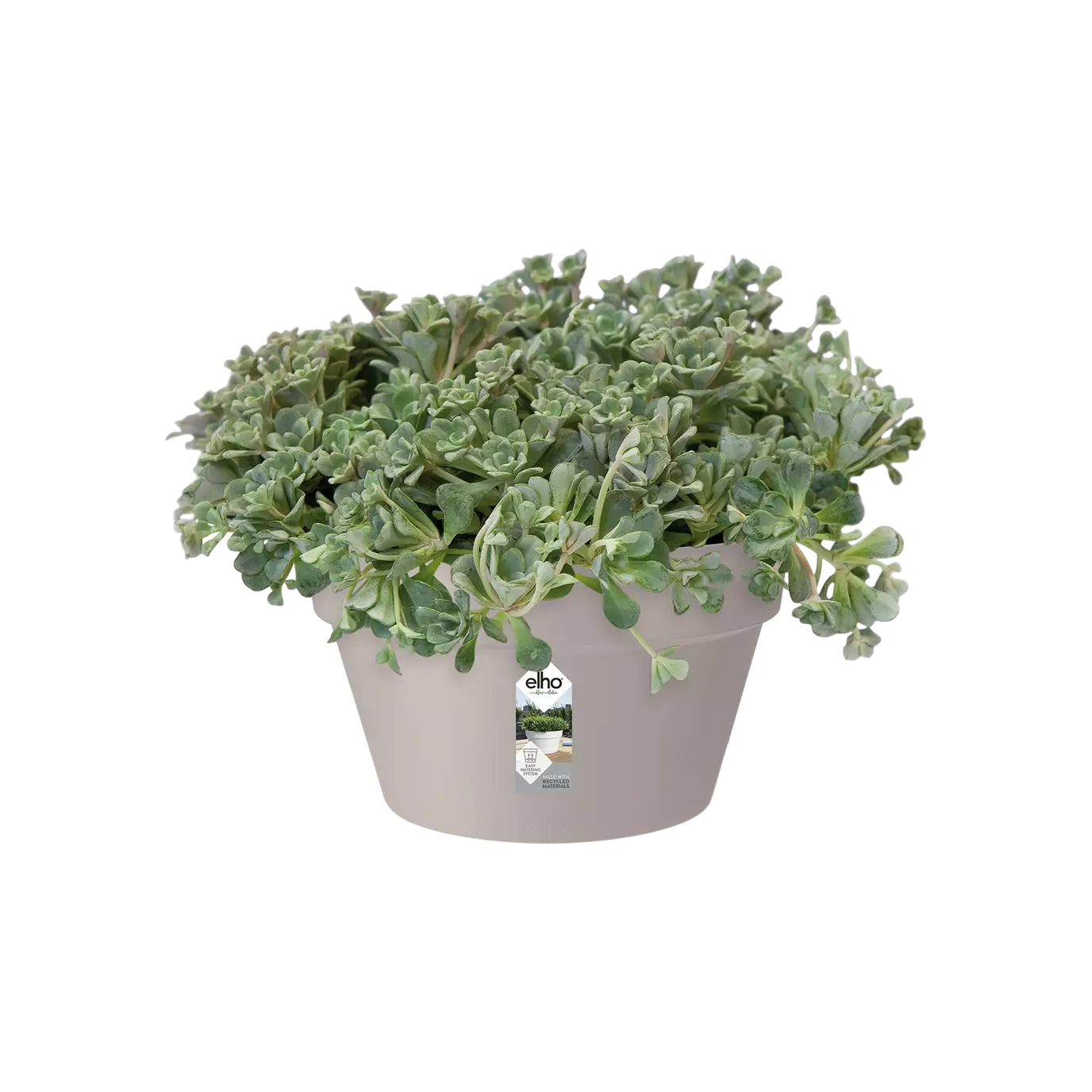 Pot - Loft Urban (x5)