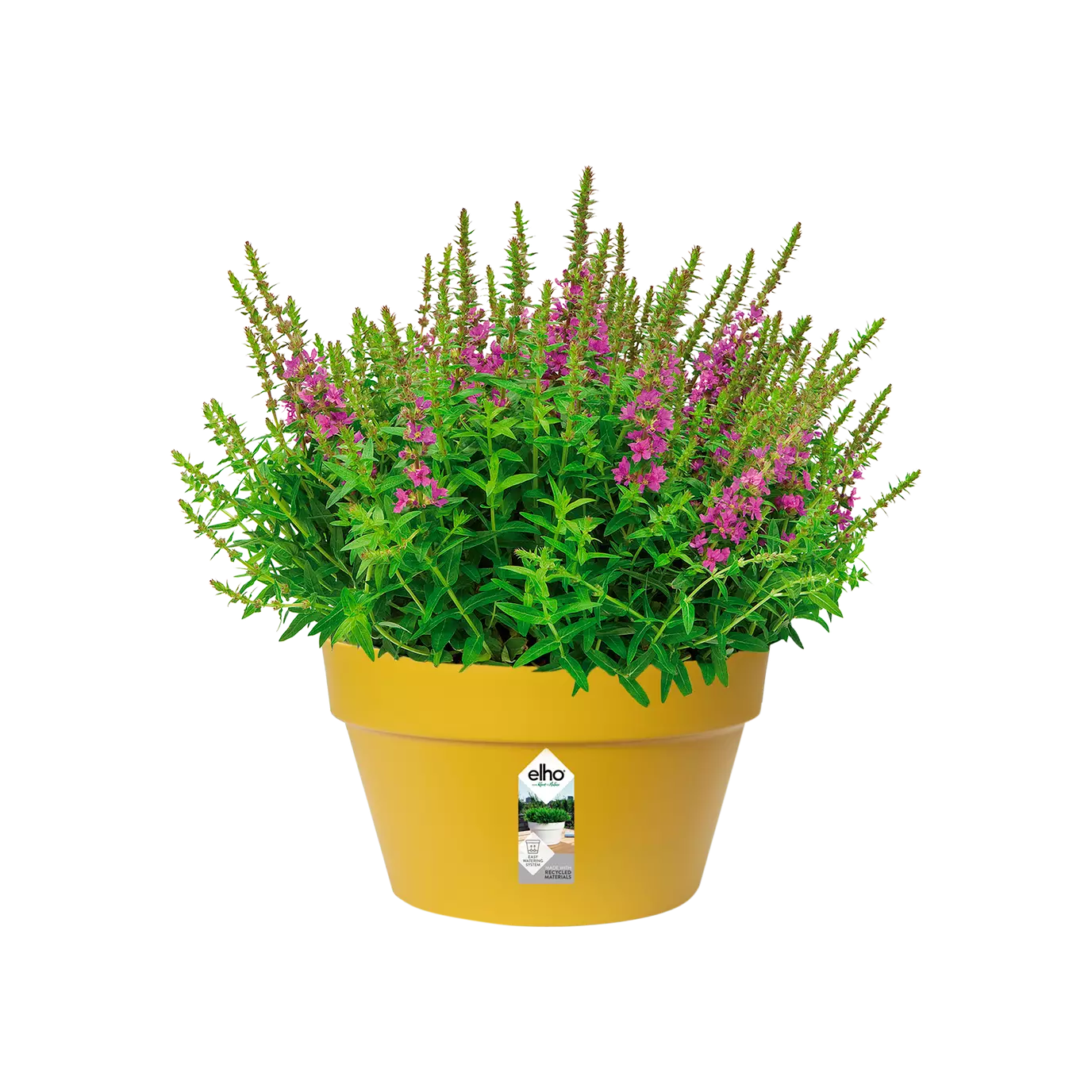 Pot - Loft Urban (x5)