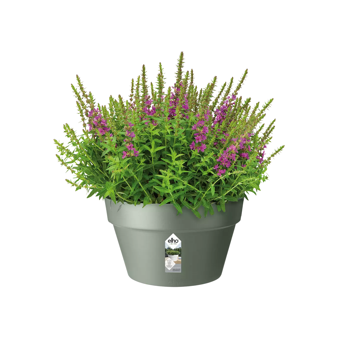 Pot - Loft Urban (x5)
