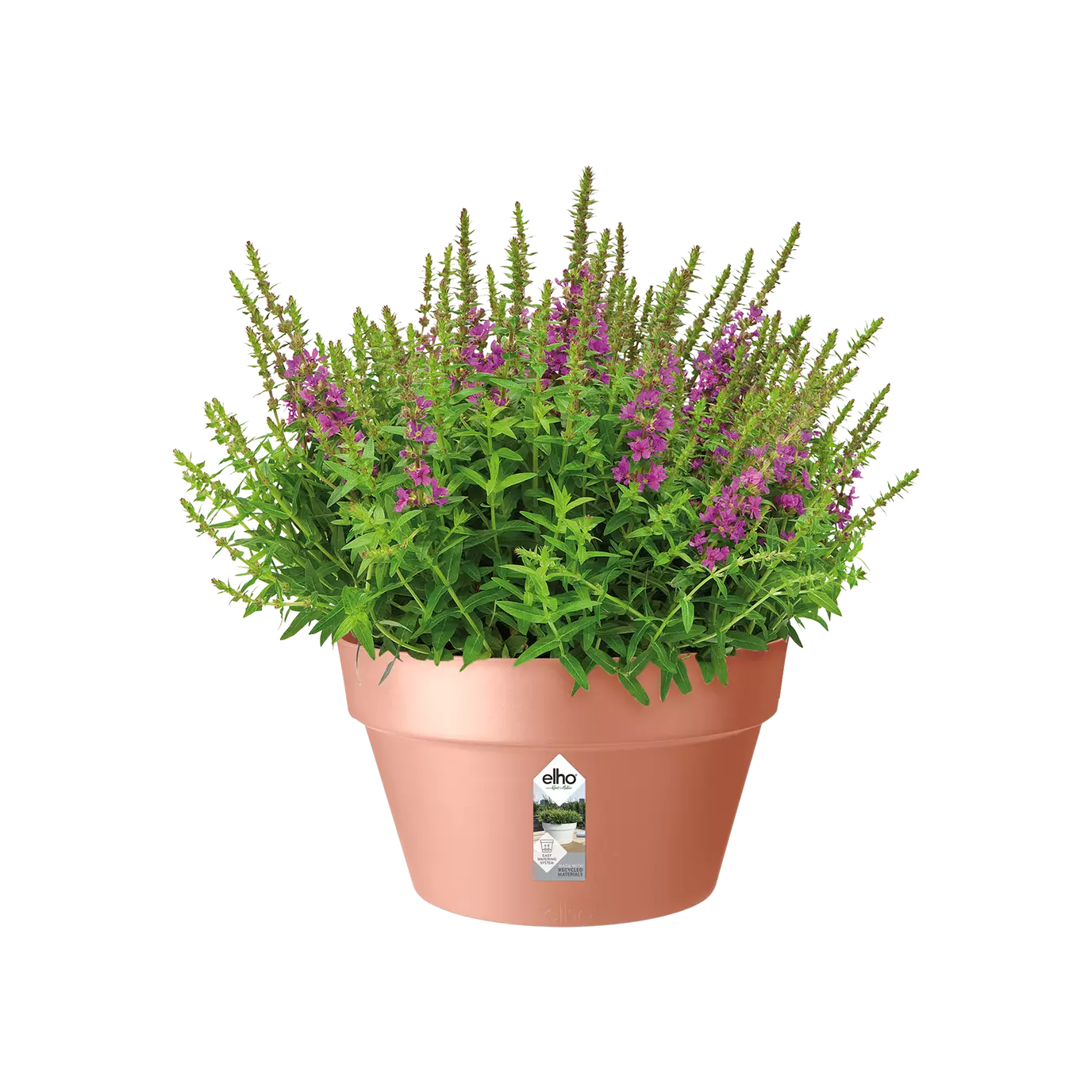 Pot - Loft Urban (x5)