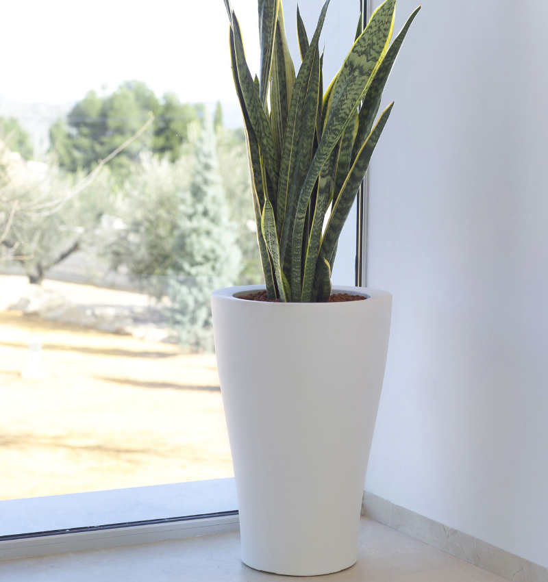 pot de fleurs colonne blanc