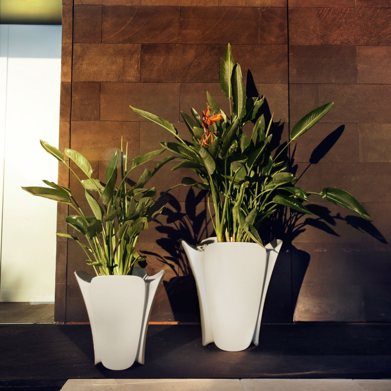 pot de fleurs terrasse blanc