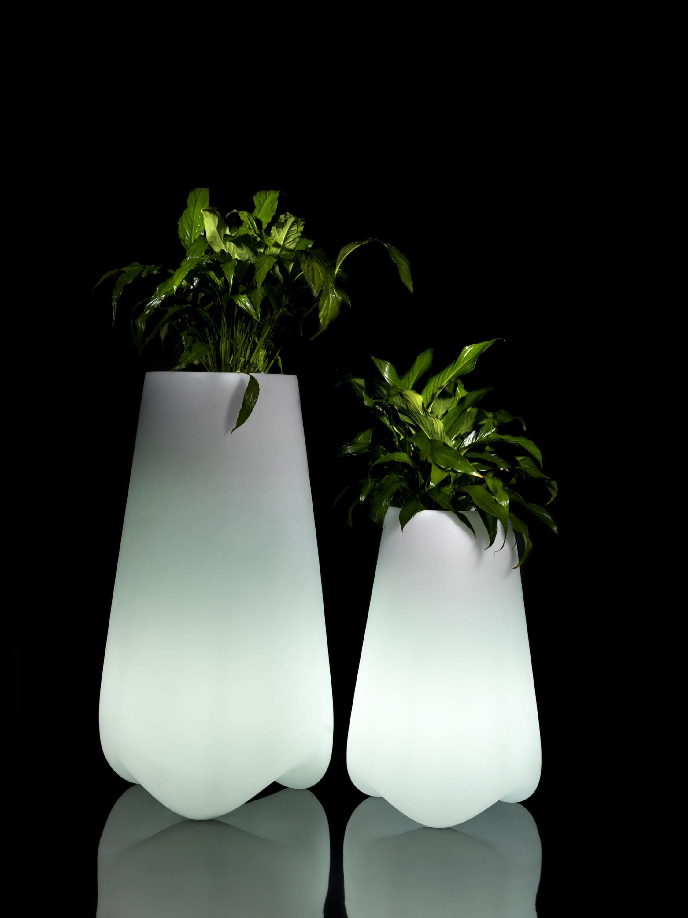 pot de fleurs lumineux design xxl