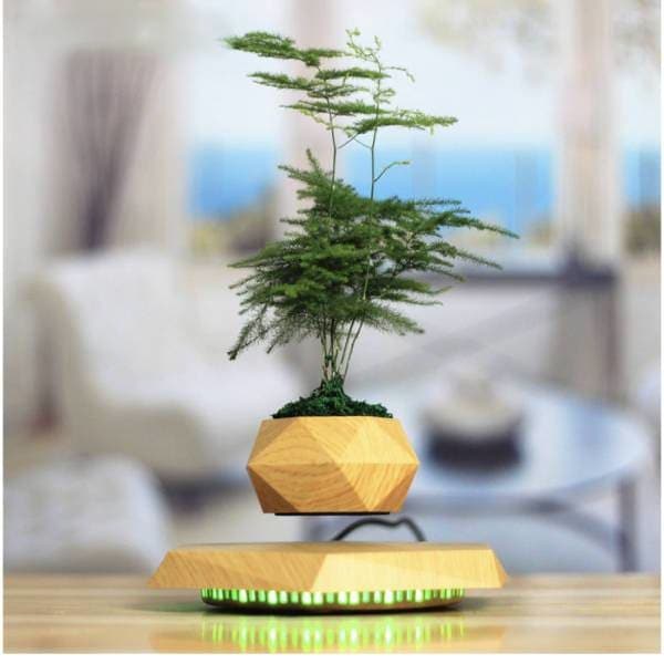 pot de fleurs volant