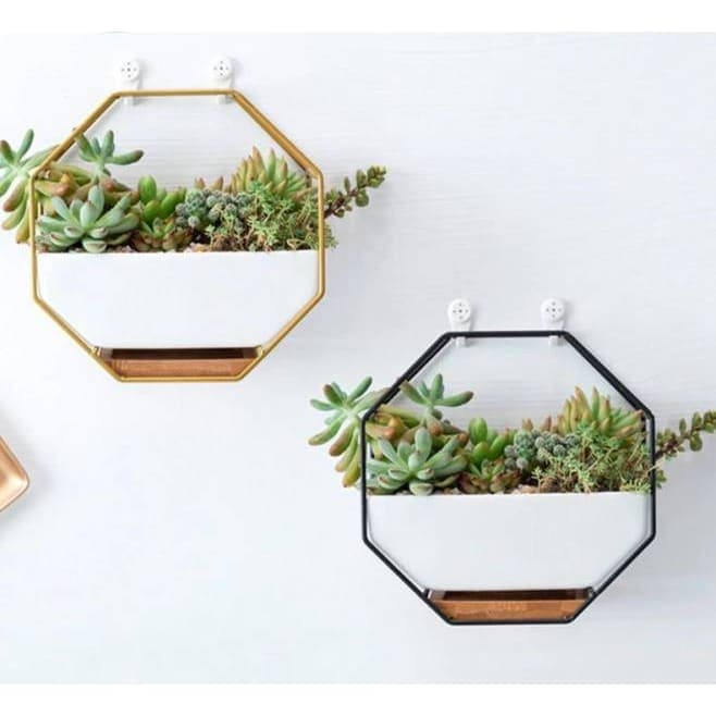 pot de fleurs mural octogonal