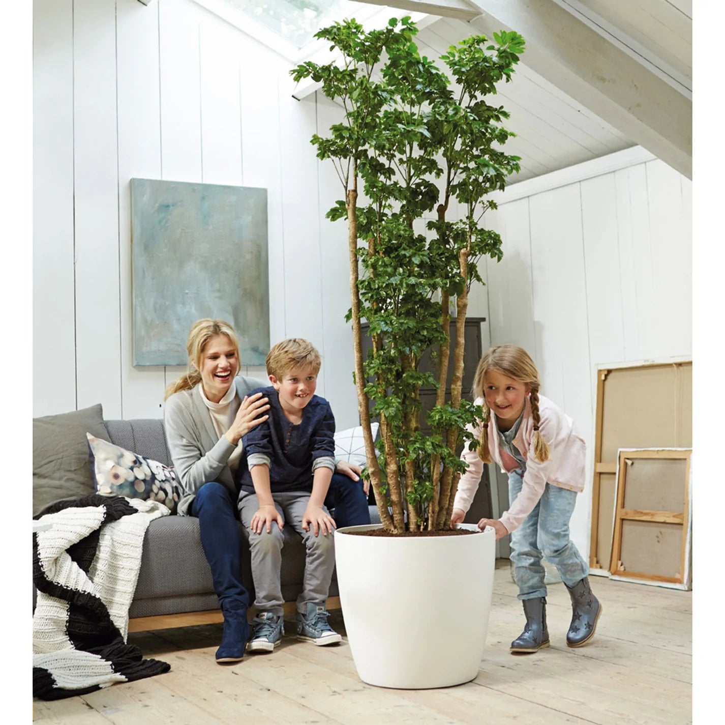 pot_fleur_roulette_cache_pot