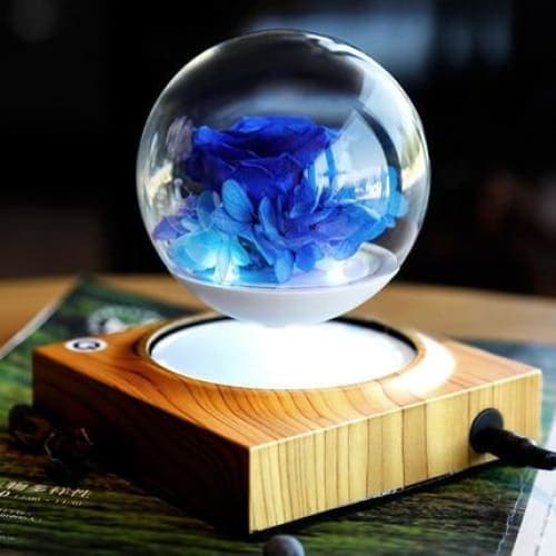 Pot <br> Boule de Verre