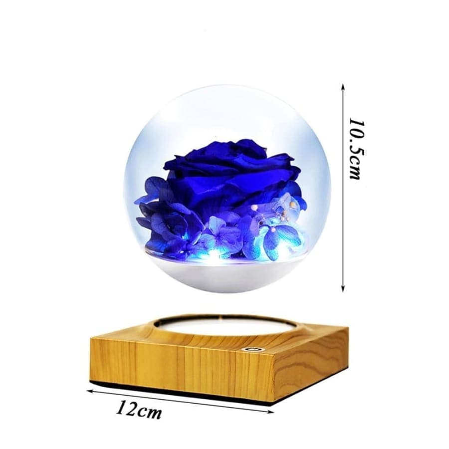 pot de fleurs magnetique