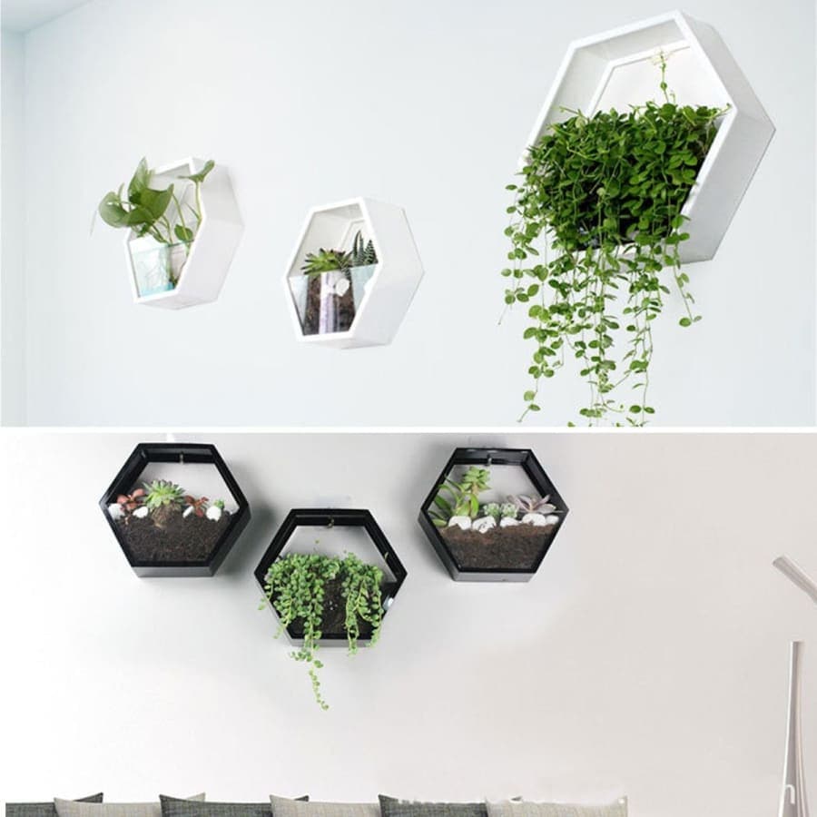 Décoration Murale <br> Terrarium Eden