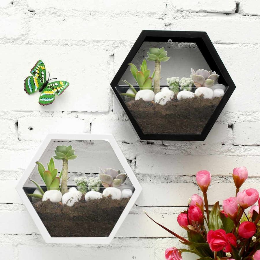 decoration murale terrarium