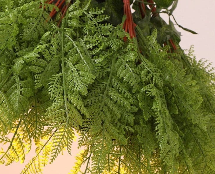 Suspension <br> Dreamy