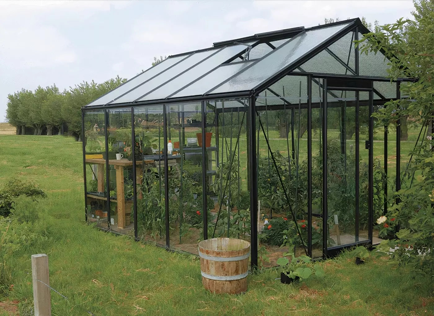 serre-en_verre_acd-s305-backline