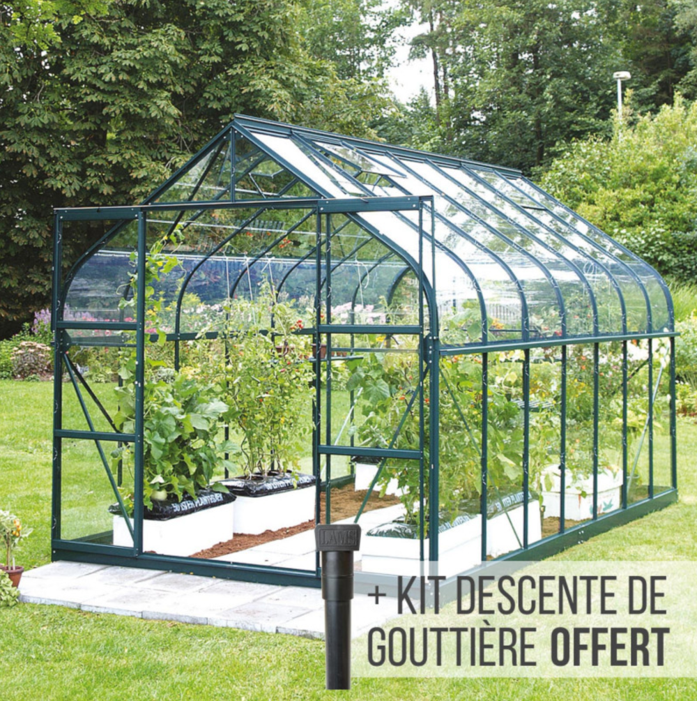serre jardin 11m2 verre