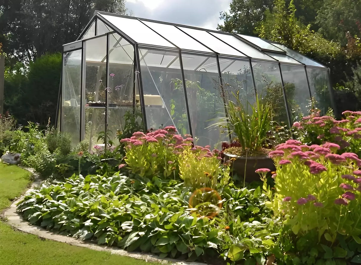 Serre De Jardin En Verre Belgique