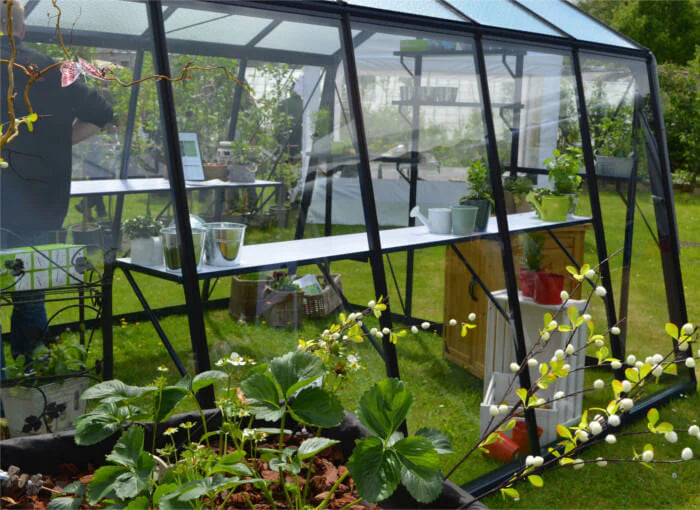 serre_acd_paroi_oblique