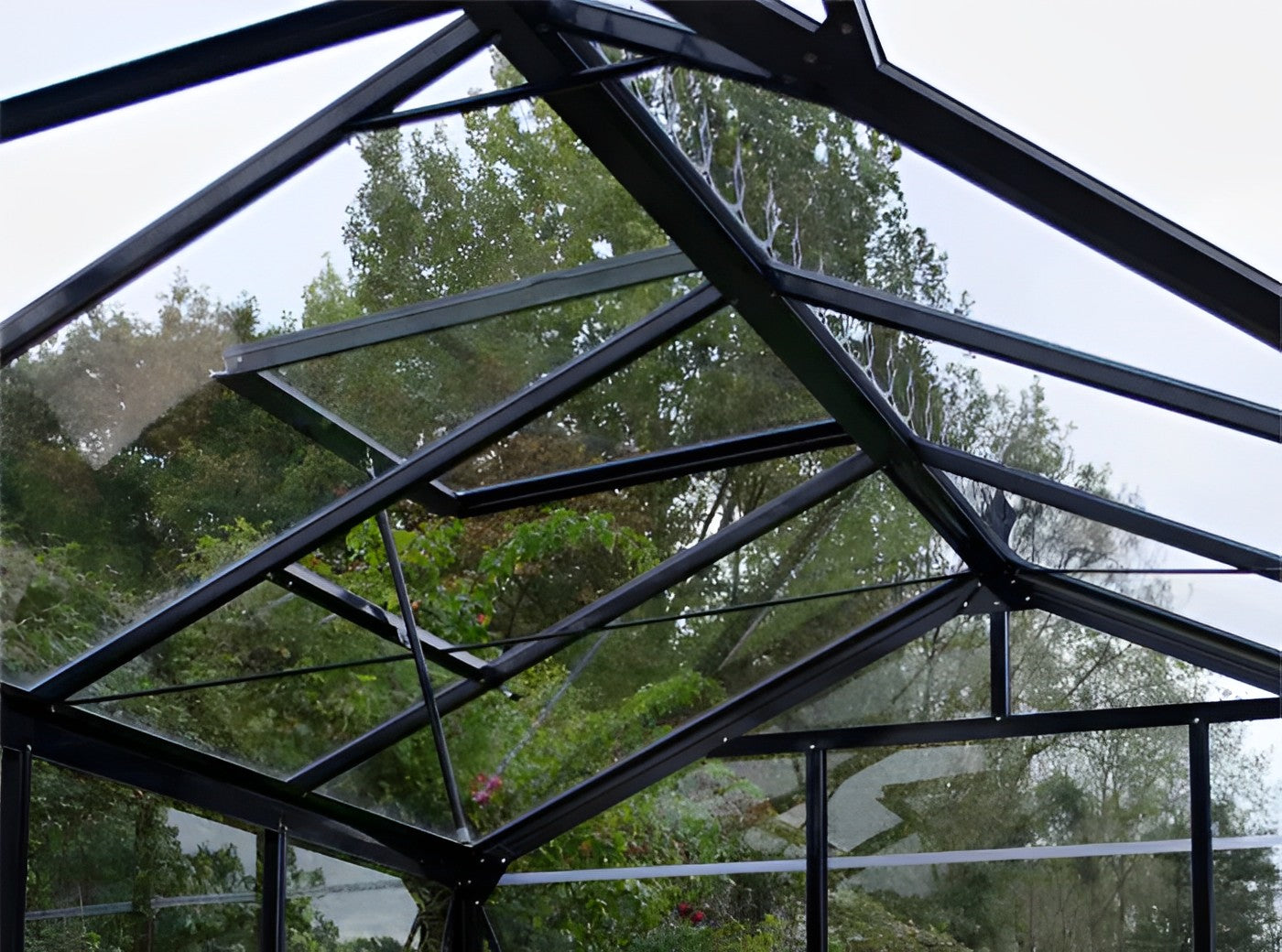 serre_en_verre_t_interieur